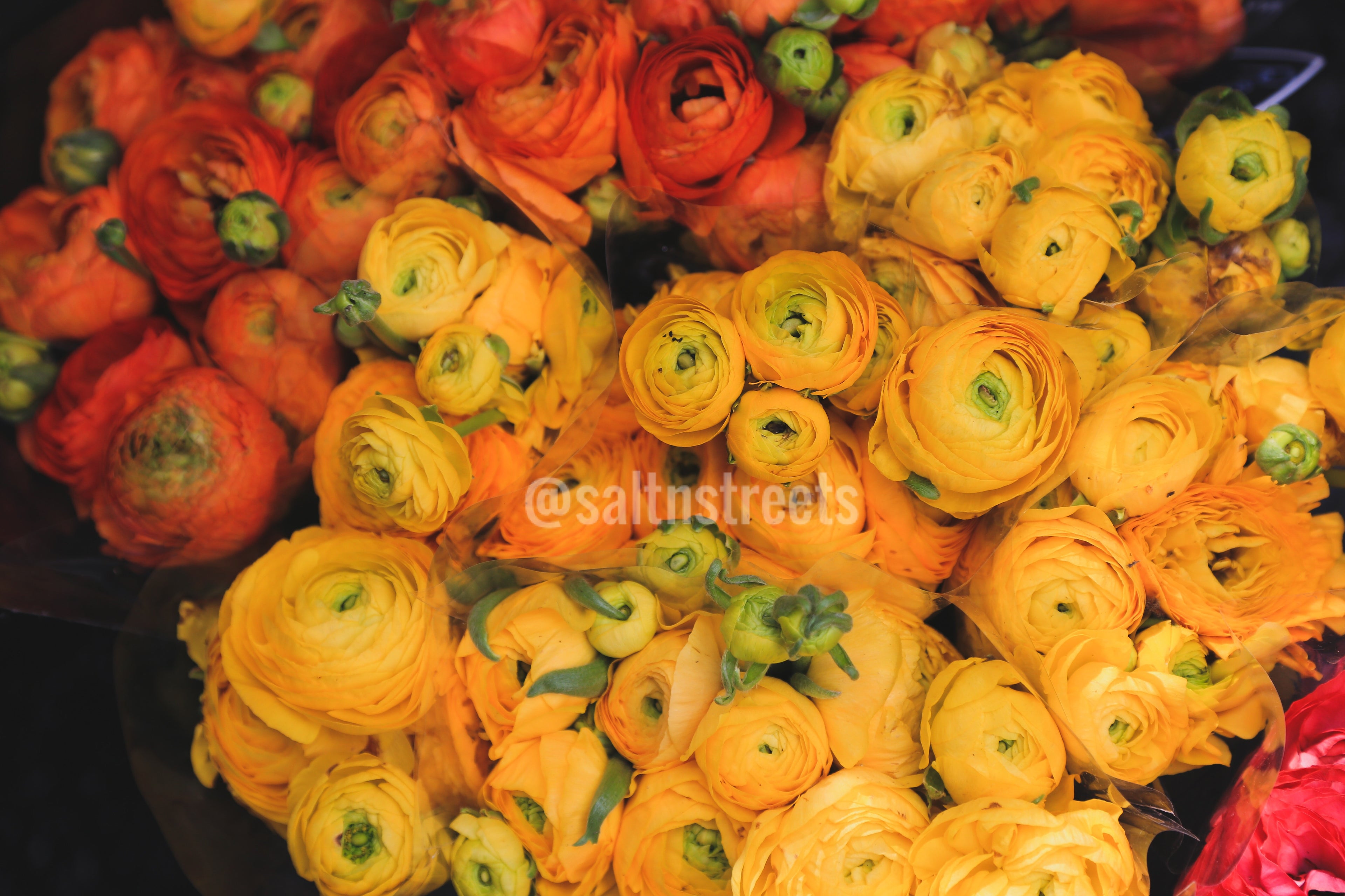 Ranunculus bouquet