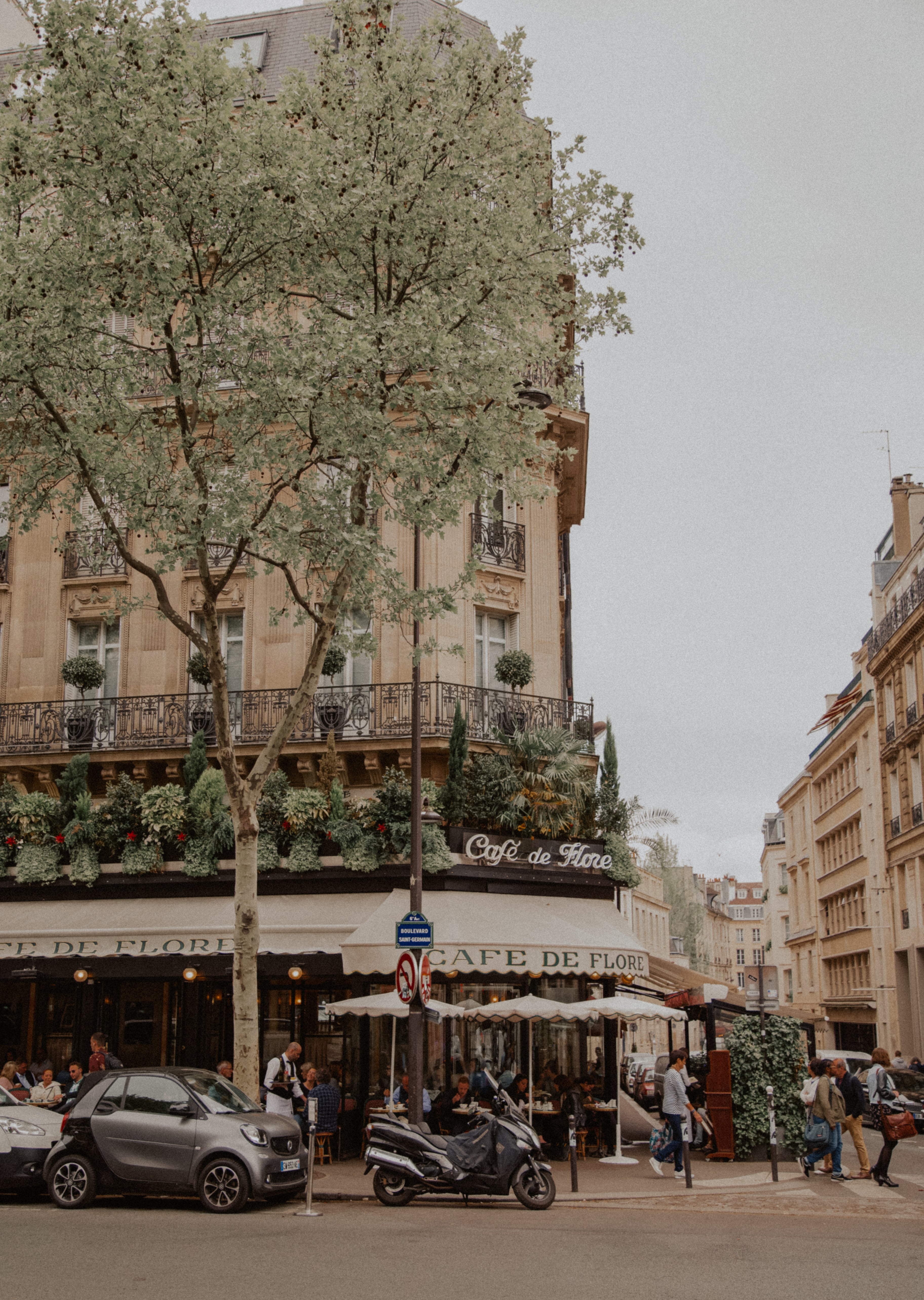 Café de Flore print